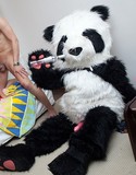 Student sex parties pics hey panda